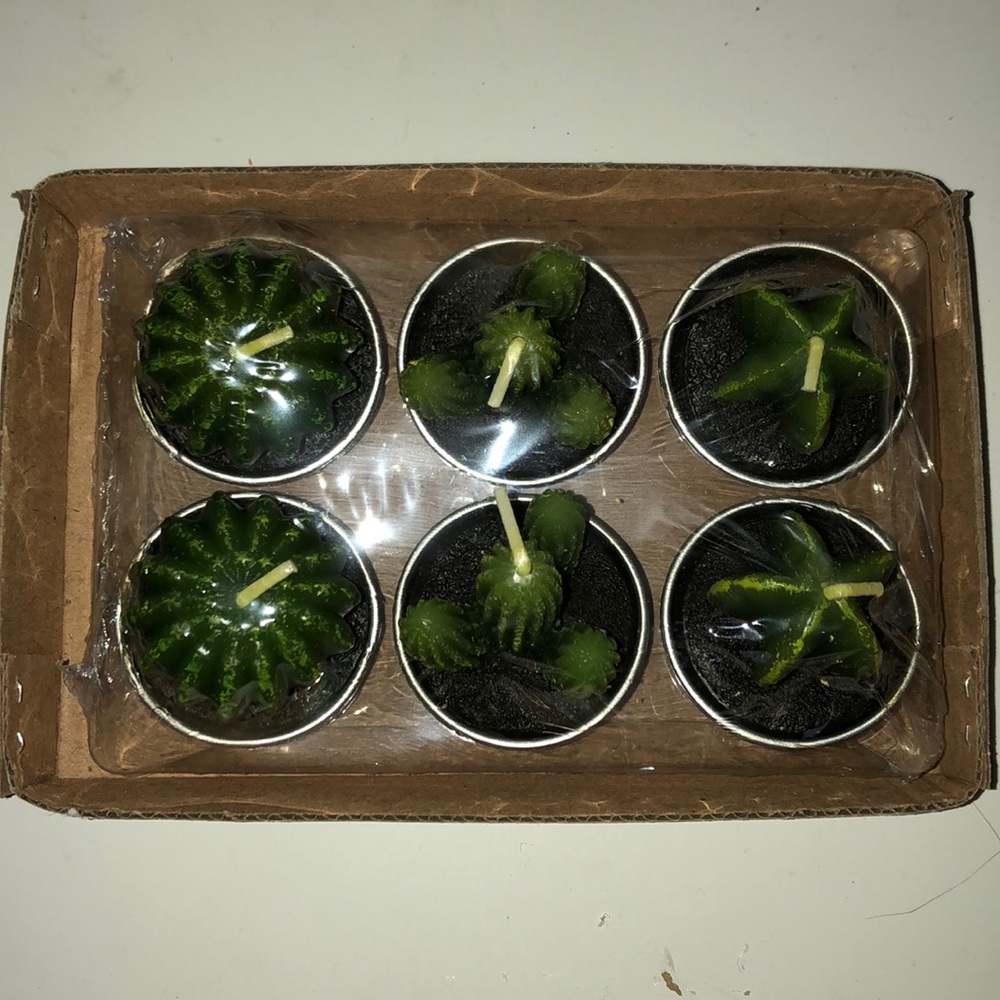 SET OF SIX MINI CACTUS CANDLES